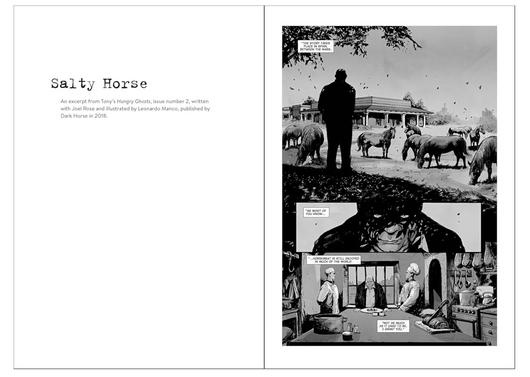 07 Salty Horse Graphic Novel